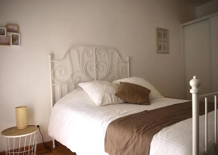 Sarment Champenois * Châlons-en-Champagne